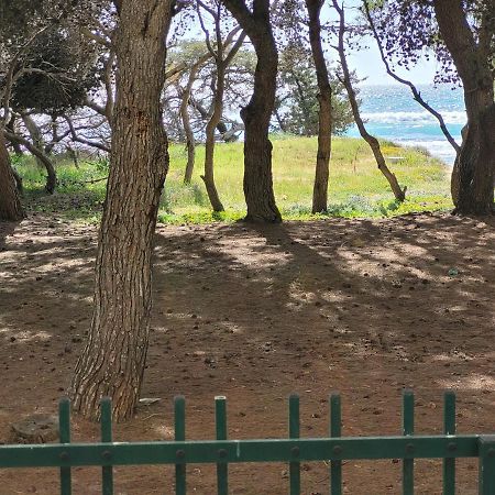Fronte Pineta Mare Rivabella Appartement Buitenkant foto