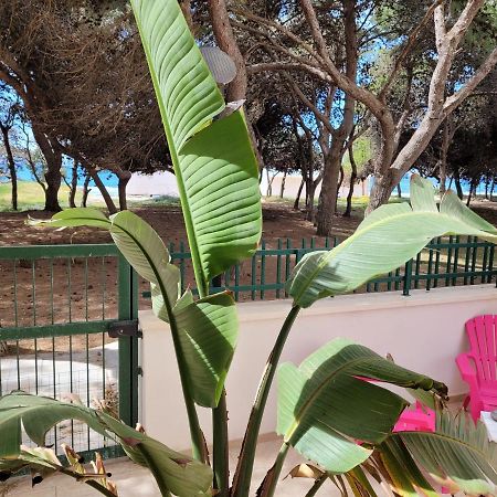 Fronte Pineta Mare Rivabella Appartement Buitenkant foto