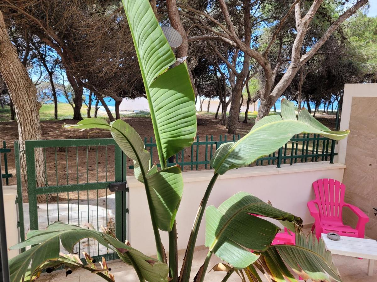 Fronte Pineta Mare Rivabella Appartement Buitenkant foto