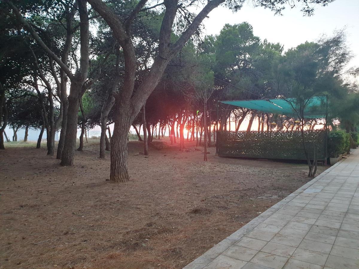 Fronte Pineta Mare Rivabella Appartement Buitenkant foto